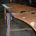 upperwing04.jpg