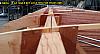 131115_145537_SmallNailsForGluingTrussRibs.jpg 131115_145537_SmallNailsForGluingTrussRibs.jpg